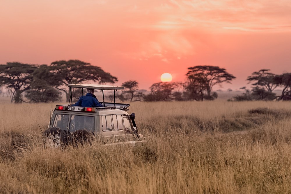 safari photo gear