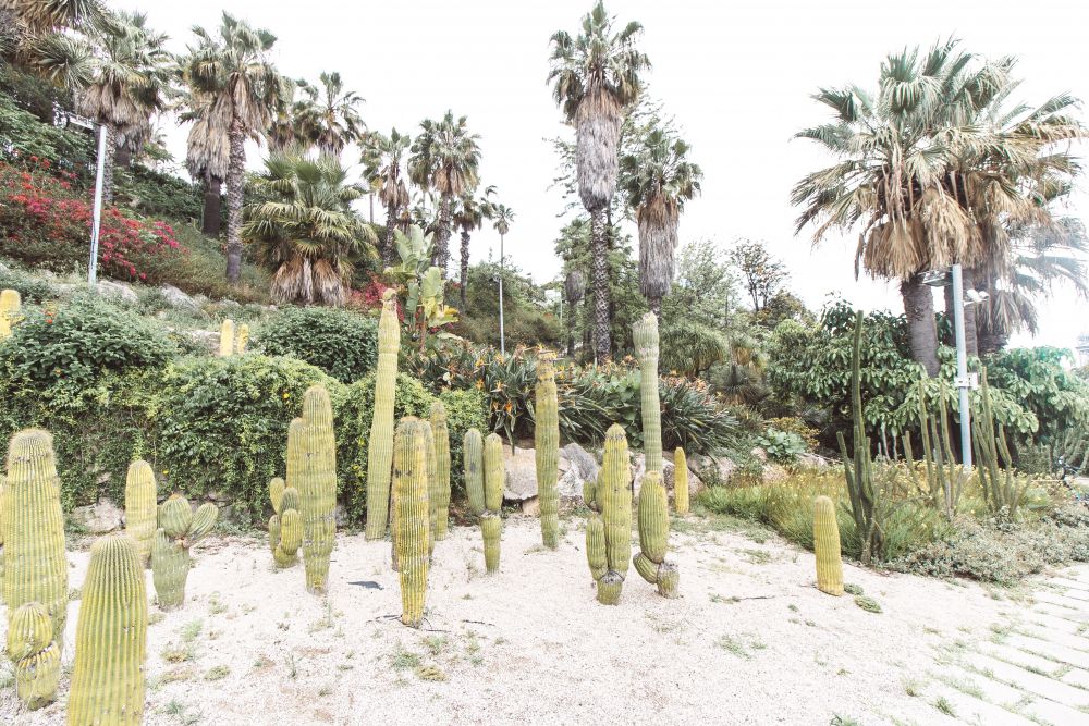 Instagram spots in Barcelona