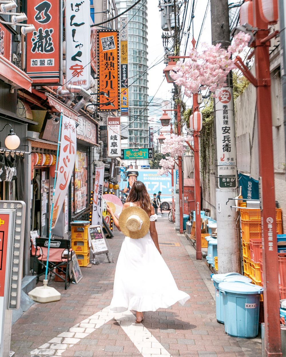 Best Instagram Spots In Tokyo Diana Miaus